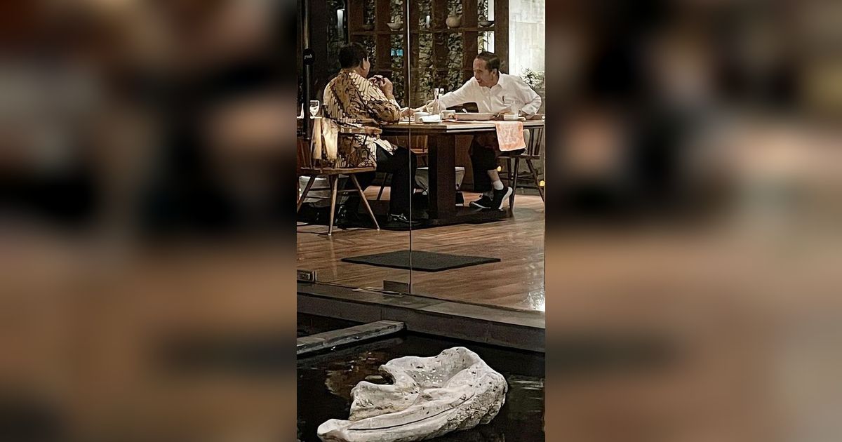 Jokowi Akui Bahas Pilpres Saat Bertemu Ketum Parpol Pengusung Prabowo-Gibran