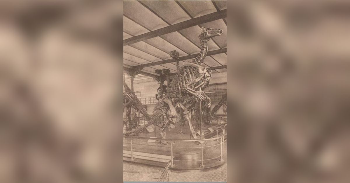 Inilah Sosok Penemu Fosil Dinosaurus Pertama Kali, 500 Tahun Sebelum Ilmuwan Inggris