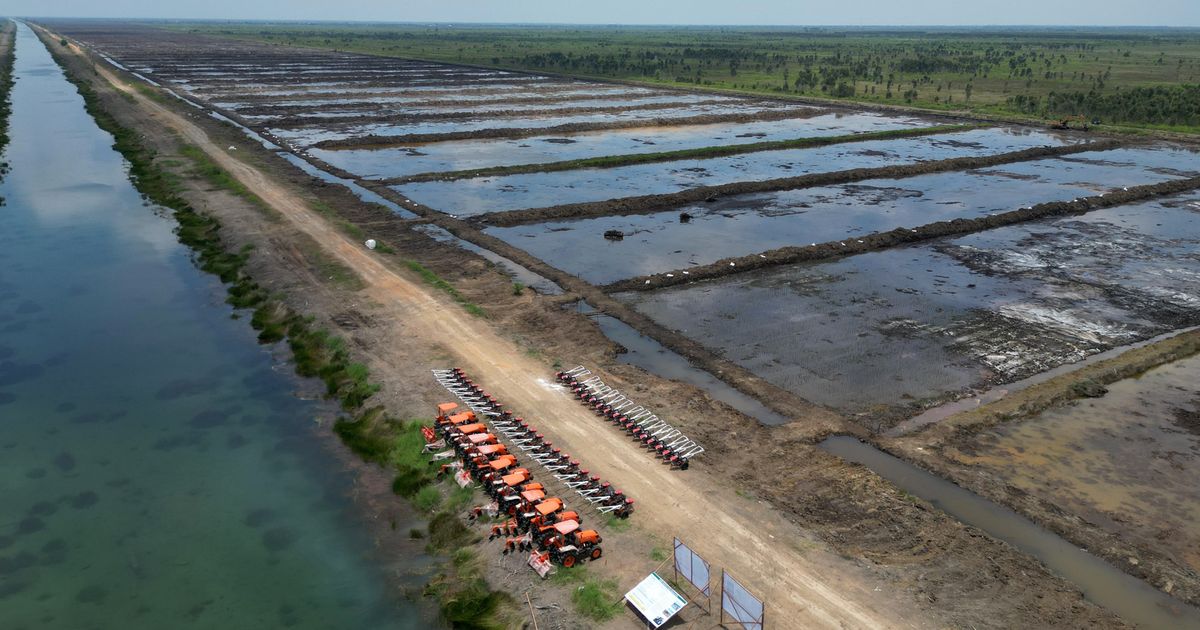 Ombudsman Dukung Cetak Sawah dengan Penguatan Irigasi untuk Pangan Masa Depan