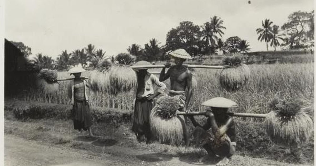 Menu Perjuangan Propaganda Jepang Bikin Rakyat Kelaparan dan Kurang Gizi