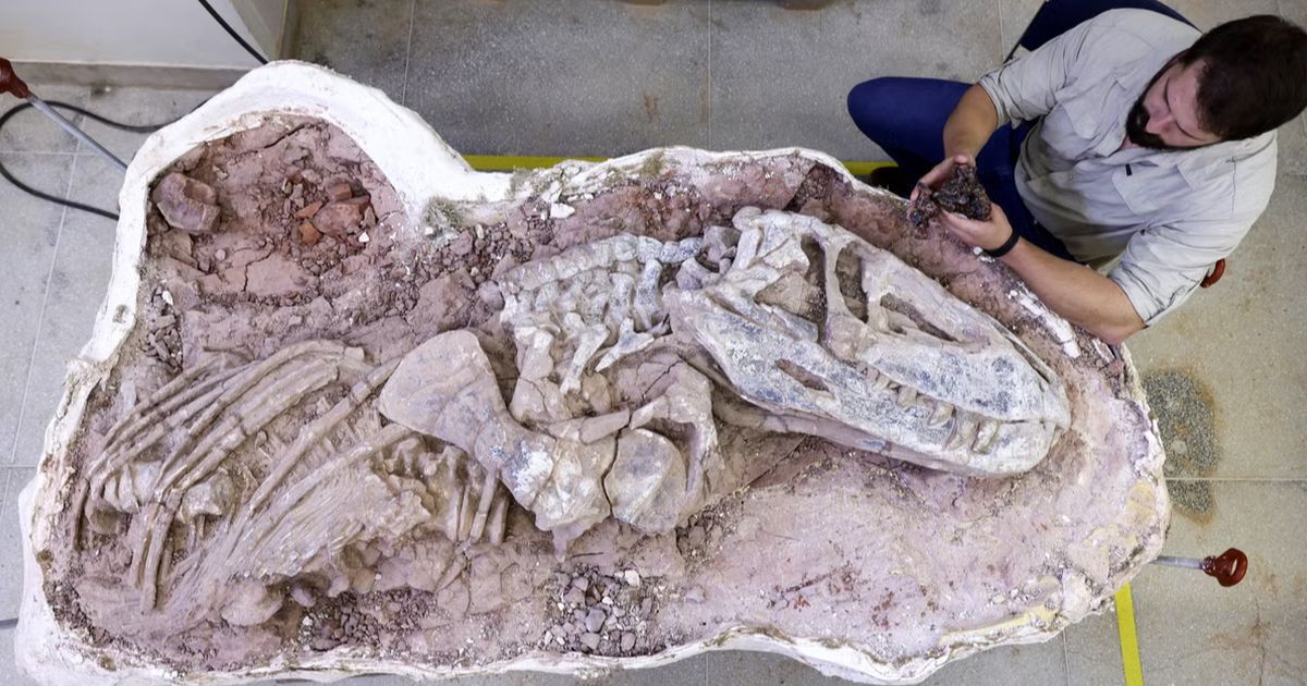 Ini Fosil Salah Satu Dinosaurus Tertua di Dunia, Namanya Diambil dari Benua Pertama di Bumi dan Usianya 237 Juta Tahun