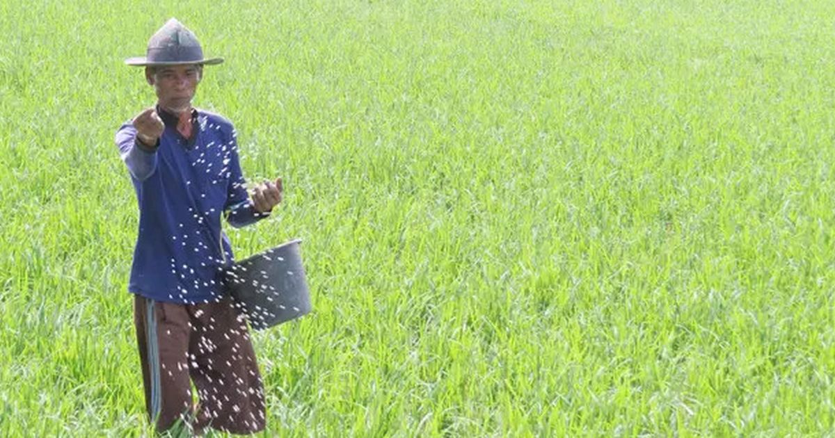 Penempatan Bulog dan PT Pupuk Indonesia di Bawah Kementan Dinilai Untungkan Petani