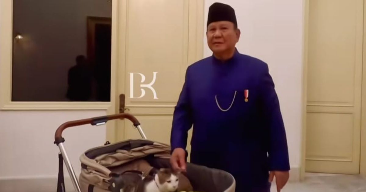 Sah, Bobby The Cat jadi 'Penguasa Istana Merdeka' Dampingi Prabowo