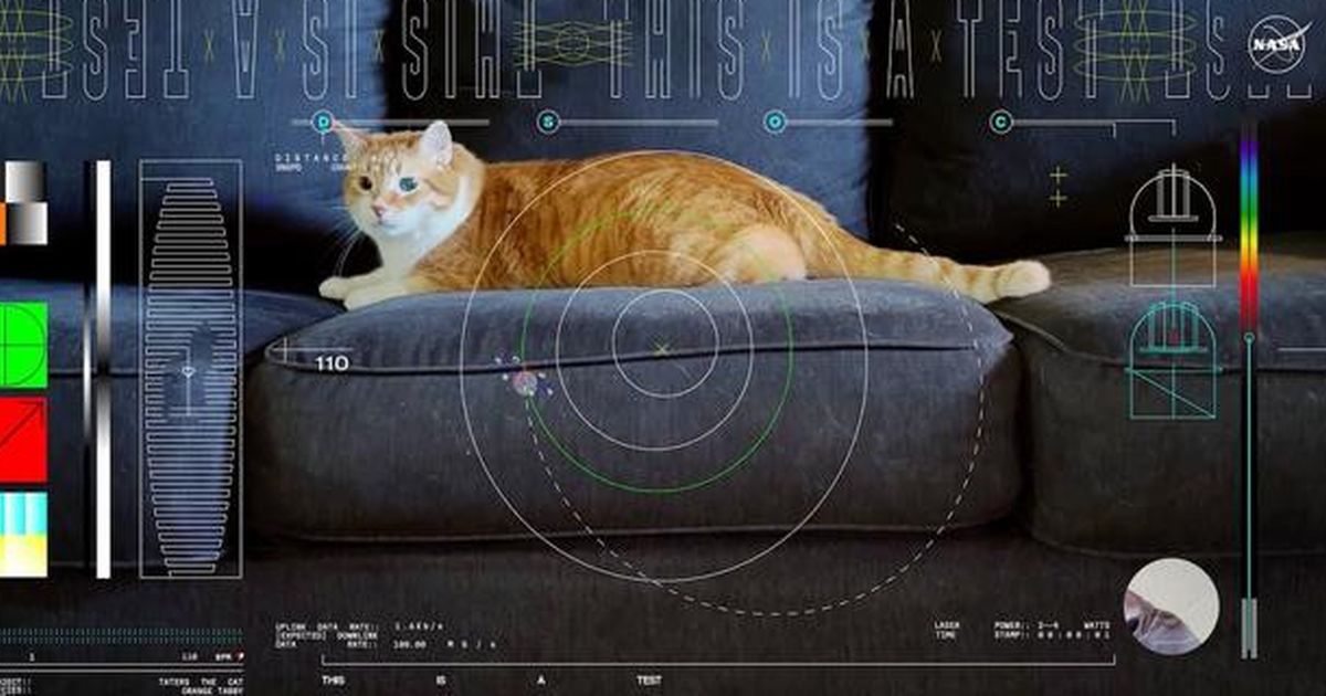 NASA Pancarkan Video Kucing ke Luar Angkasa Pakai Laser Hingga Jarak 390 Juta Kilometer, Ini Tujuannya