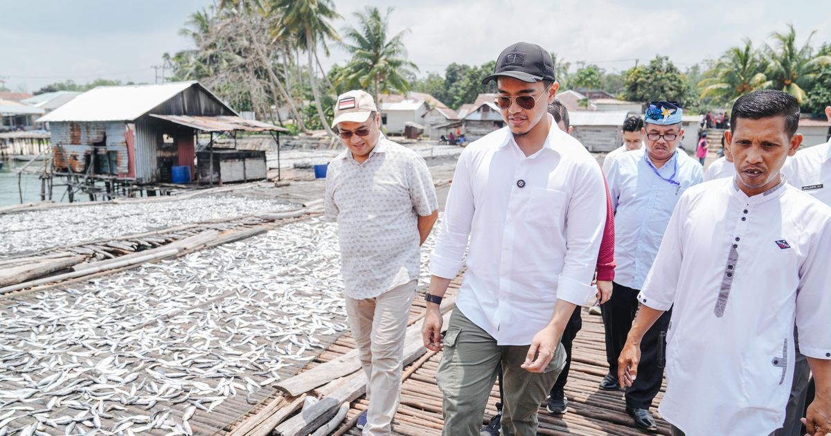 Kunjungi Kampung Nelayan di Belitung, Kaesang Kampanyekan Erzaldi Rosman