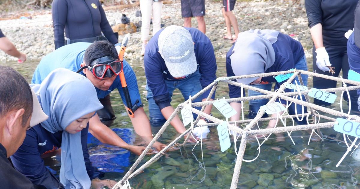 Peringati Sumpah Pemuda, PNM Gandeng Pemuda dalam Konservasi Terumbu Karang di Ambon