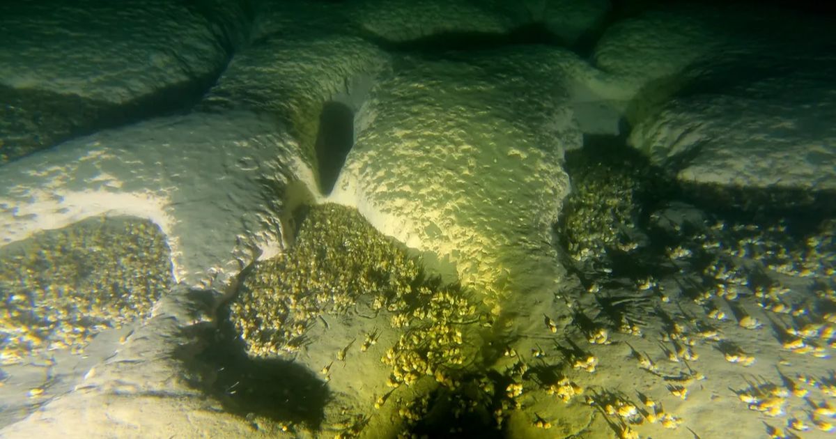 Puluhan Lubang Raksasa Ditemukan di Dasar Danau, Ilmuwan Sampai Kirim Kapal Selam karena Penasaran