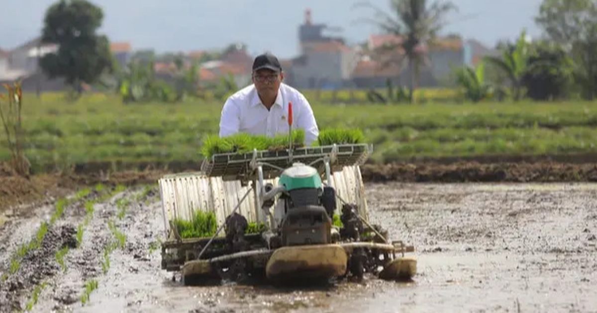 Viral Petani di Sukabumi Menari di Live TikTok, Wamentan: Terus, Apa Salahnya?