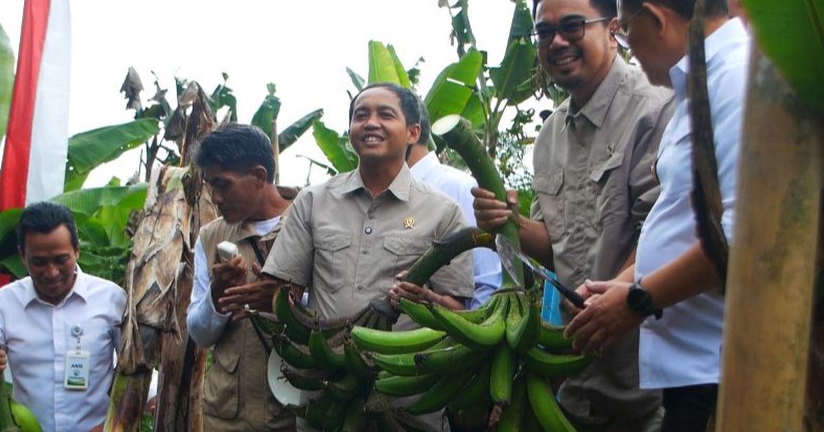 Ini Salah Satu Pemasok Bahan Pangan Program Makan Bergizi Gratis