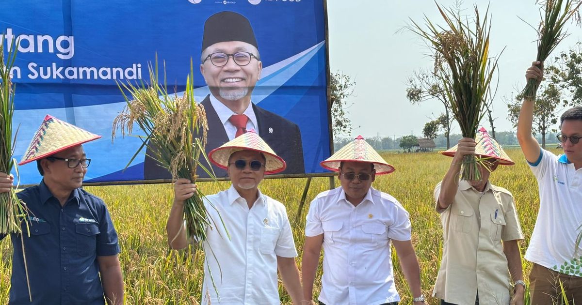 Blusukan ke Subang, Zulhas Ungkap Masalah Pertanian karena Kualitas Bibit Tidak Merata