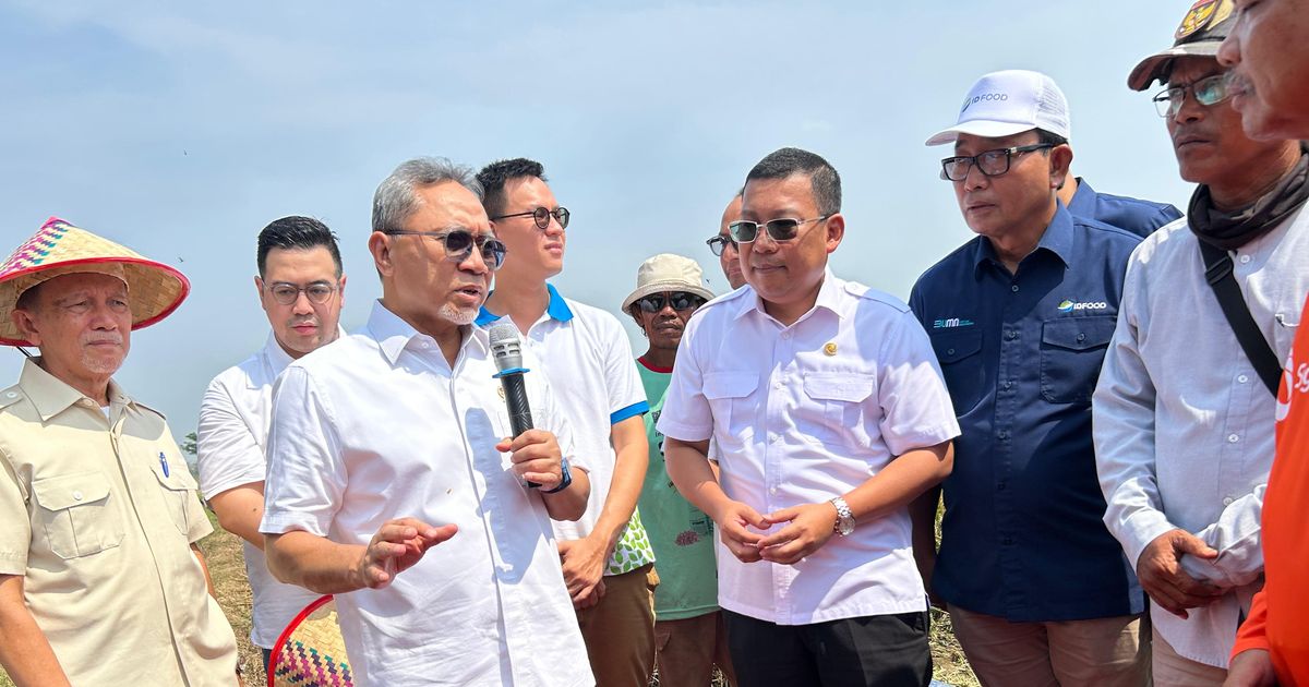 Zulhas: Bertani Pakai Arit Bisa Bikin Food Loss 15 Persen