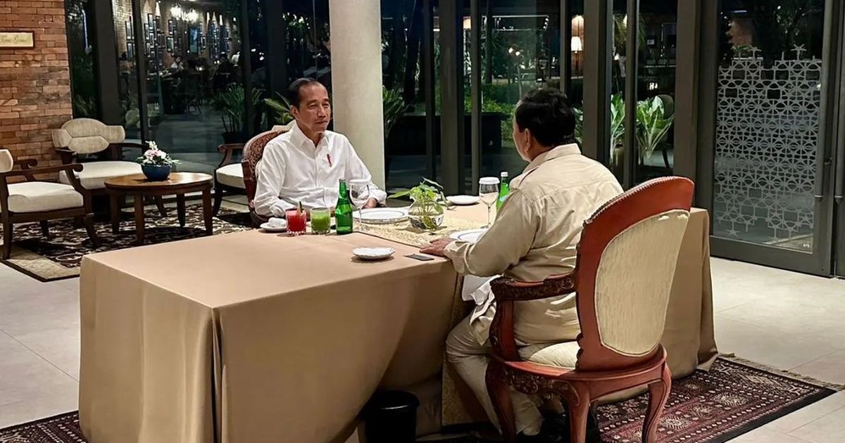 VIDEO: Dasco Gerindra Ungkap Isi Percakapan Prabowo dan Jokowi Jelang Pertemuan Dengan Megawati