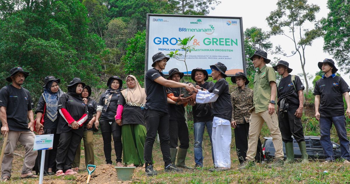 Aksi Nyata Kelompok Tani Mantan Penambang Memulihkan Hutan Lewat BRImenanam Grow & Green