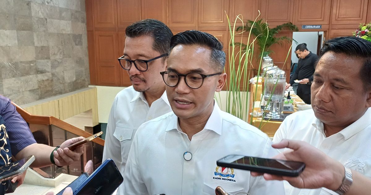 Sempat Gaduh Dualisme Kepengurusan, Anindya Bakrie Ternyata Bukan Ketum Kadin