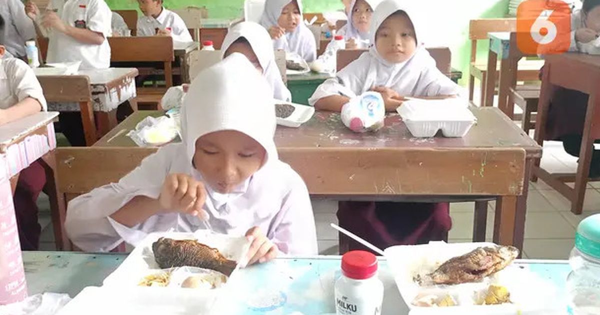 KUR Bakal Disalurkan untuk Dukung Program Makan Bergizi Gratis dan 3 Juta Rumah, Begini Skemanya