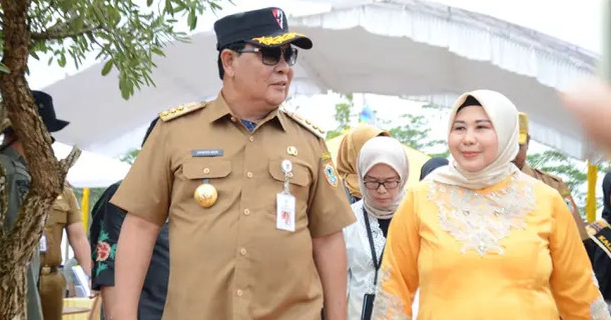 Sahbirin Nooor Mundur, Kemendagri Tunjuk Roy Rizali Jadi Plh Gubernur Kalsel