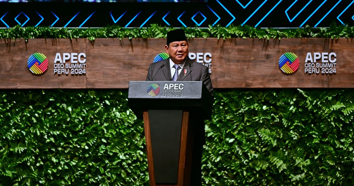 VIDEO: Lugas Prabowo di APEC Bicara Energi, Bahaya Teknologi & Janji Lindungi Investasi Asing