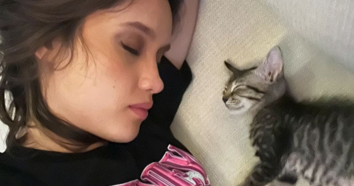 Gemas Banget, Potret Cinta Laura Bareng Spikey si Kucing Mujair yang Selalu jadi Sorotan