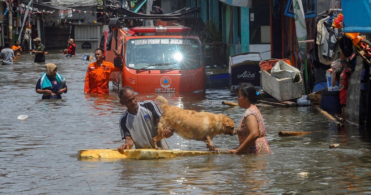 FOTO: Penampakan Banjir Rob Rendam Pesisir Utara Jakarta, Warga Dievakuasi Naik Buldoser