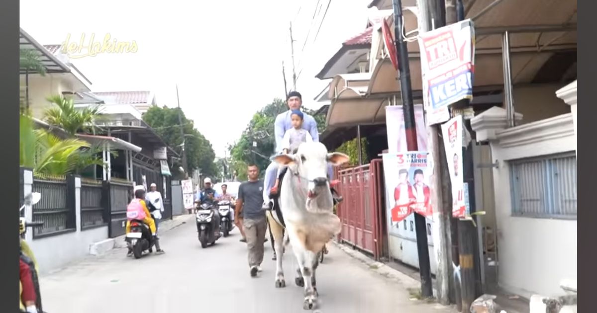 Gokil, Irfan Hakim Berangkat Salat Jumat Naik Seekor Sapi dan Bagi-bagi Nasi Kotak