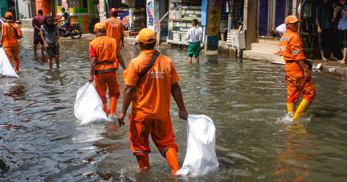 FOTO: Aksi Petugas PPSU Berjibaku Bersihkan Sampah Banjir Rob di Muara Angke