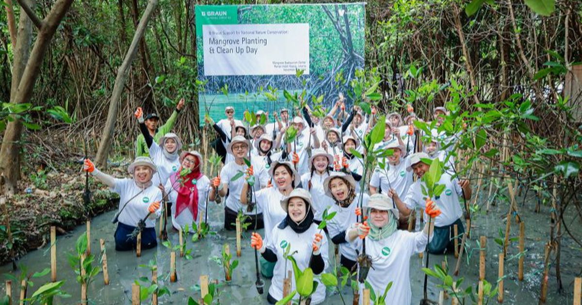 Tanam Mangrove, Investasi Lingkungan Jangka Panjang untuk Generasi Masa Depan