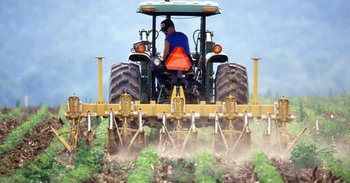 Sebanyak 35.224 Petani Bergabung Asuransi Mikro, Dapat Perlindungan Kecelakaan Hingga Meninggal Dunia