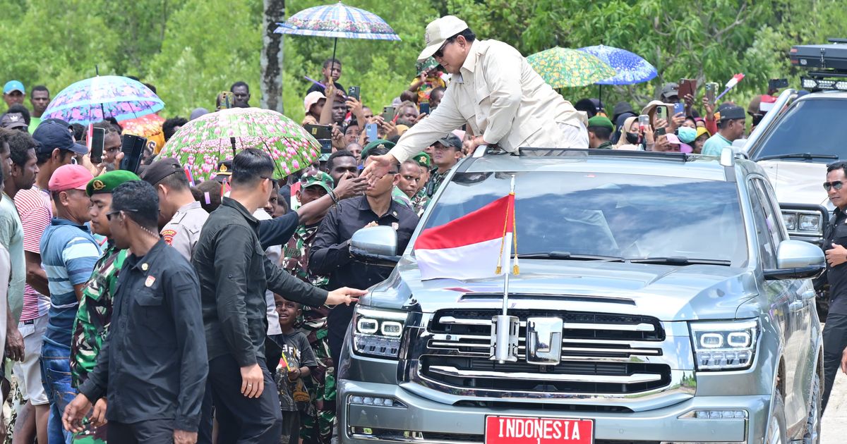 Prabowo Tinjau Program Cetak 1 Juta Hektar Sawah di Merauke