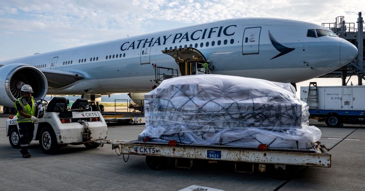 FOTO: Patut Ditiru! Begini Cara Bandara di Jepang Jaga Tas Penumpang, 30 Tahun Tak Pernah Ada Kehilangan