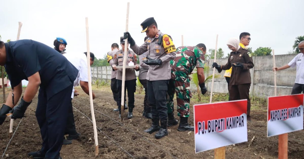 Dukung Asta Cita Prabowo, Lahan Milik Polres Kampar Disulap Jadi Lokasi Ketahanan Pangan