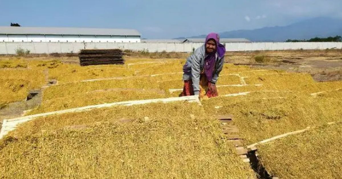 Tak Semua Utang Petani dan Nelayan Bakal Dihapus Pemerintah, Cek Kriterianya di Sini