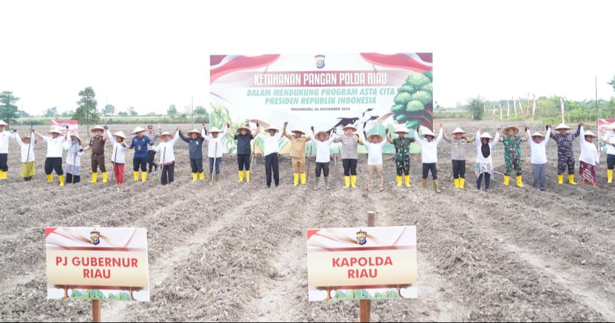 Puluhan Hektare Lahan di Riau Dipakai untuk Program Ketahanan Swasembada Pangan