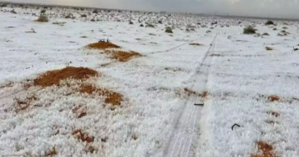 VIDEO Pertama dalam Sejarah, Hujan Salju Turun di Gurun Arab Saudi