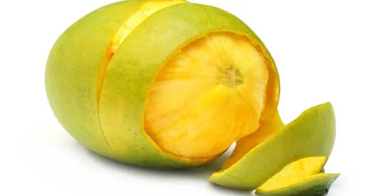 Kulit Mangga Kaya Nutrisi, Bisa Bantu Turunkan Kolesterol, Inilah Langkah-Langkahnya