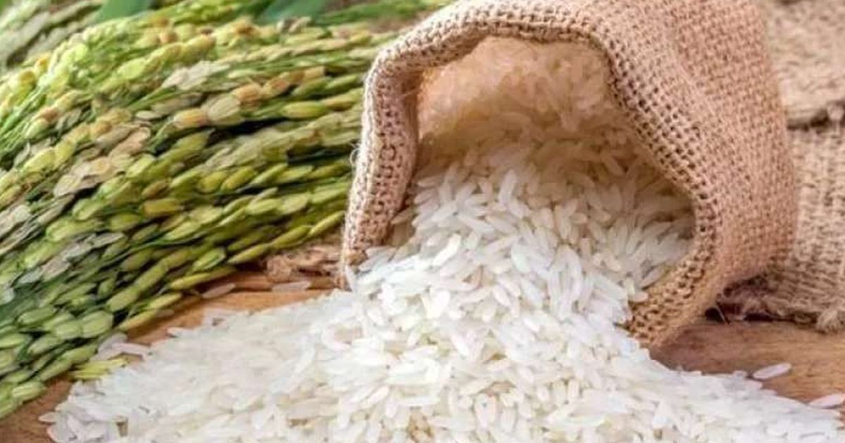 Tips Masak Beras Ketan Lebih Cepat dan Lezat dalam Waktu Singkat