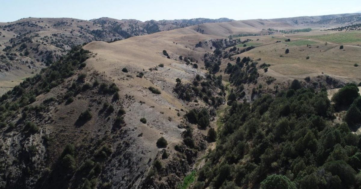 Pakai Drone dengan Teknologi Laser, Ilmuwan Temukan Kota Kuno Abad Pertengahan di Puncak Gunung Uzbekistan