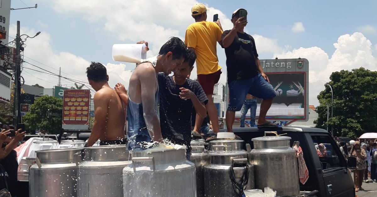 Aksi Peternak Sapi Perah di Boyolali Buang dan Mandi 50 Ton Susu, Protes Produk Sulit Dijual