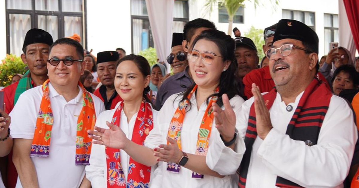 Sepakat dengan Prabowo, Rano Karno Nilai Pilkada Langsung Melelahkan