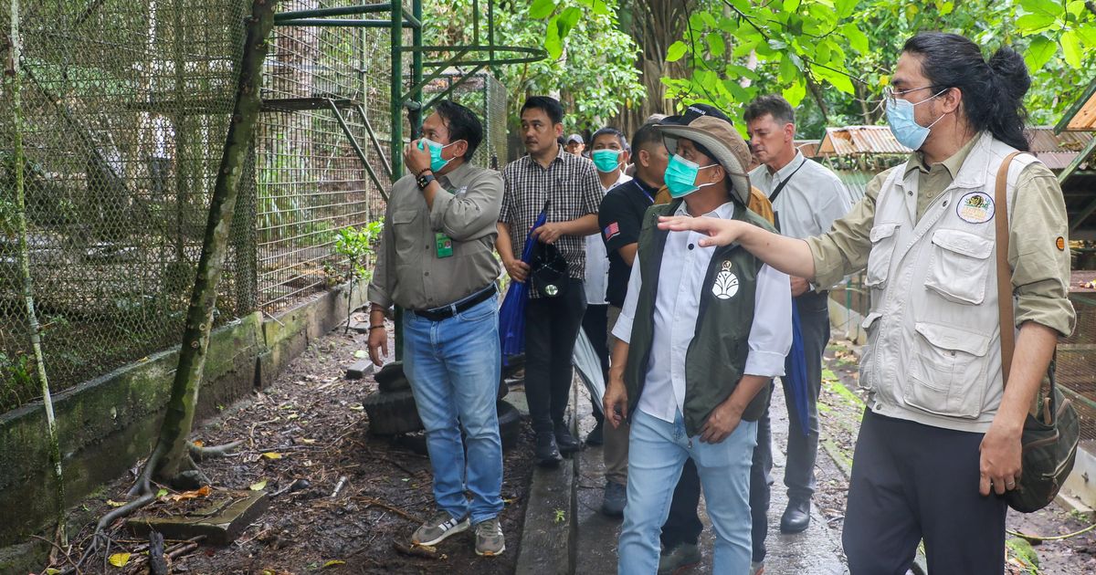 Menhut Tegaskan Perketat Pengawasan, Gunakan Anjing Pelacak untuk Gagalkan Penyelundupan Satwa