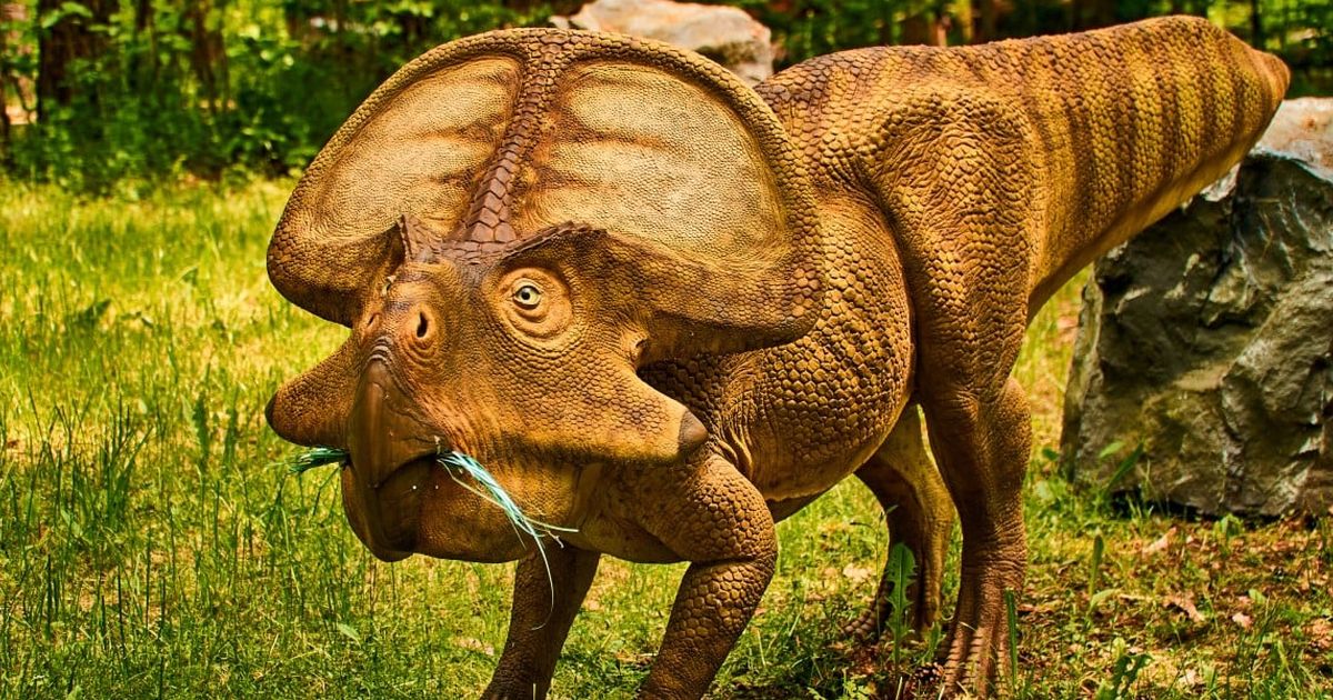 Peneliti Ungkap Manusia akan Bernasib Sama Seperti Dinosaurus: Makin Bodoh Seiring Waktu, Ini Alasannya