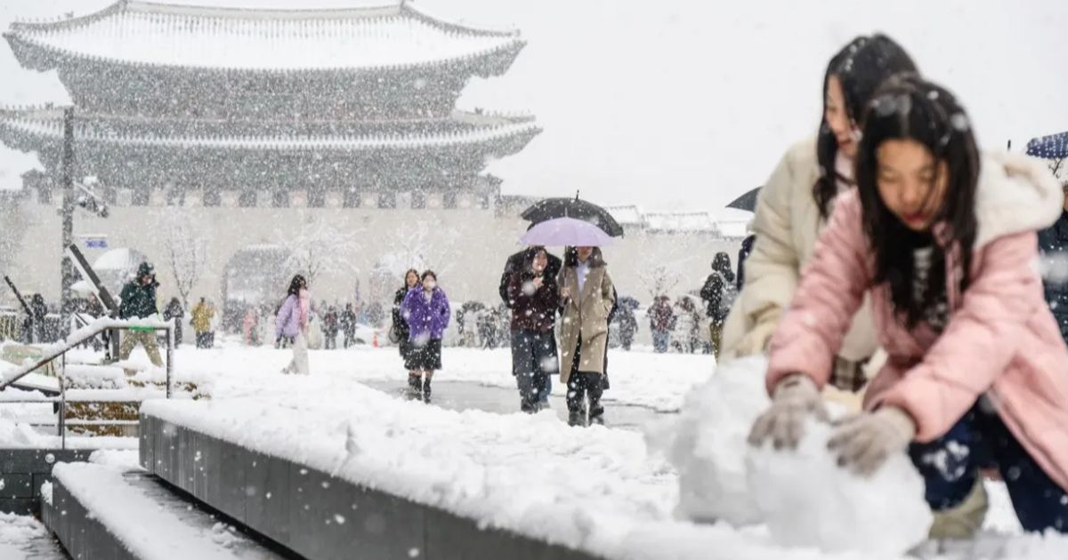 Awal Mula Krisis Populasi Korea Selatan Ternyata Dimulai dari Tahun 60-an