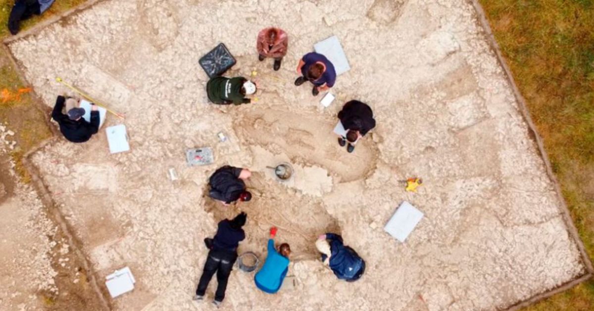 Gali Makam di Situs Rahasia, Arkeolog Temukan Pedang Prajurit Berpangkat Tinggi dari Abad ke-6