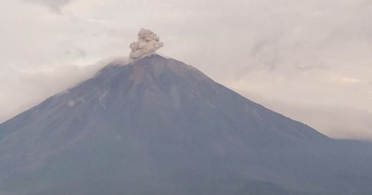 Semeru Berkali-kali Erupsi pada Sabtu Pagi, Ini Arah Abu Vulkanik