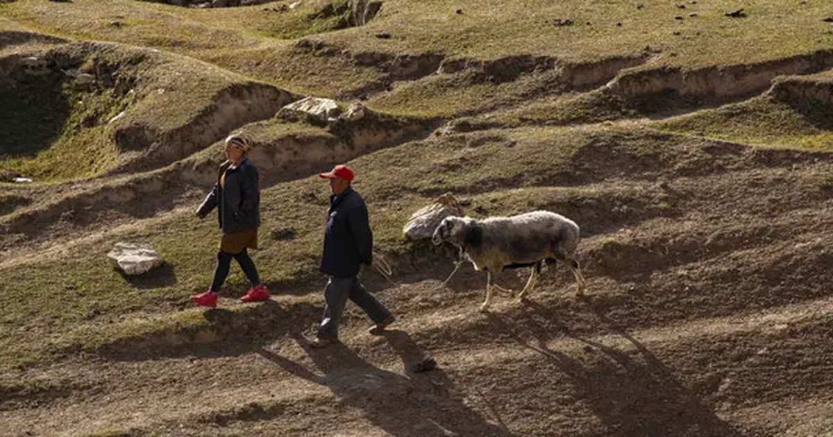 Liburan Akhir Tahun, Aktivitas Seru ini Bisa Jadi Pilihan Wisata Asyik