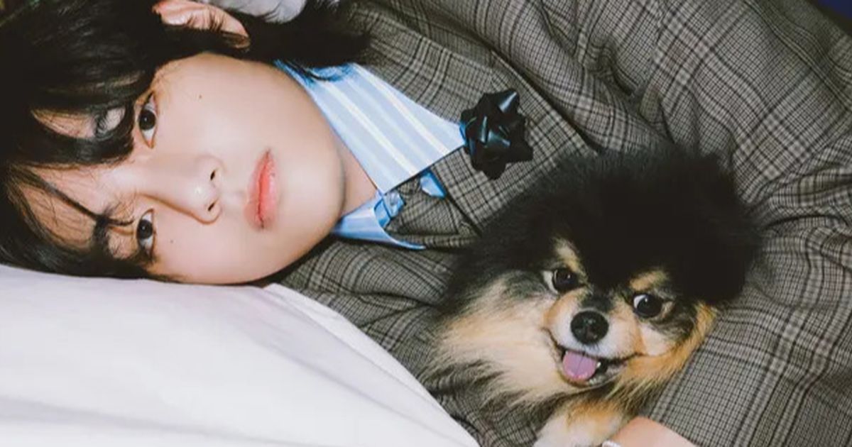 Kenangan Manis Yeontan, Anjing Kesayangan V BTS yang Kini Telah Berpulang