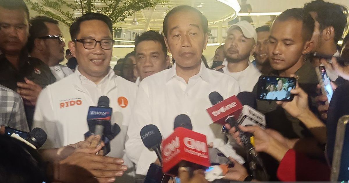 Jokowi Respons soal Effendi Simbolon Dipecat PDIP karena Bertemu Dengannya: Kenapa Kalau Ketemu?