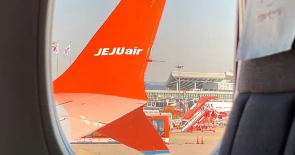 Mengenal Bird Strike yang Diduga Jadi Penyebab Kecelakaan Jeju Air