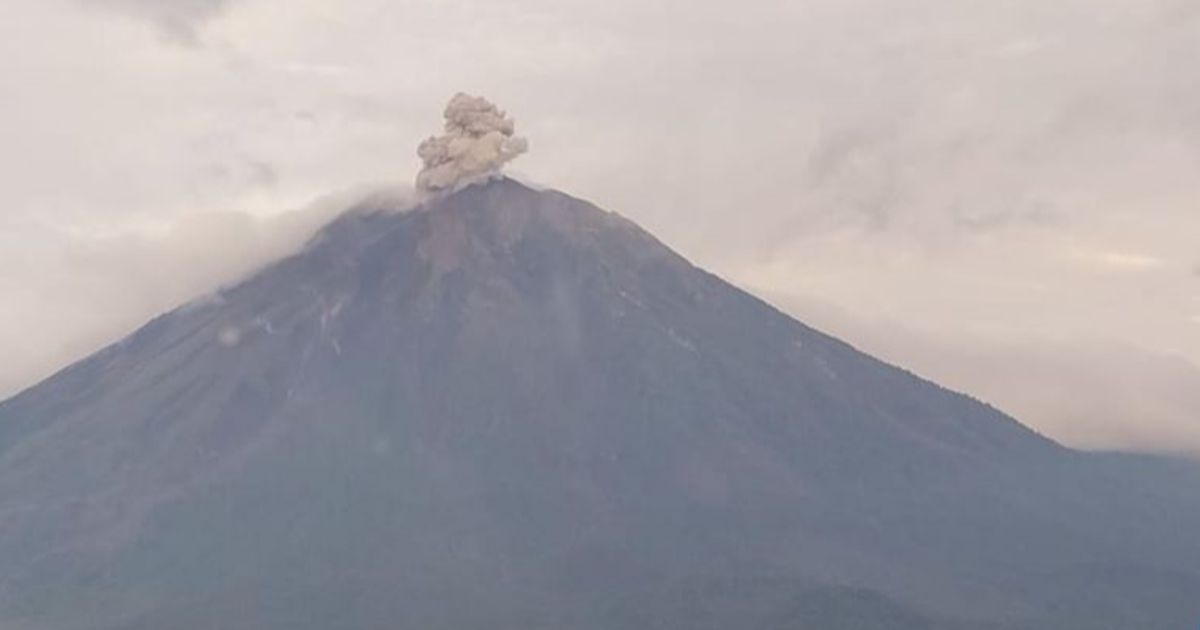 Baru Sepekan Dibuka Pendakian Semeru Ditutup Lagi Selama 15 Hari, Kenapa?