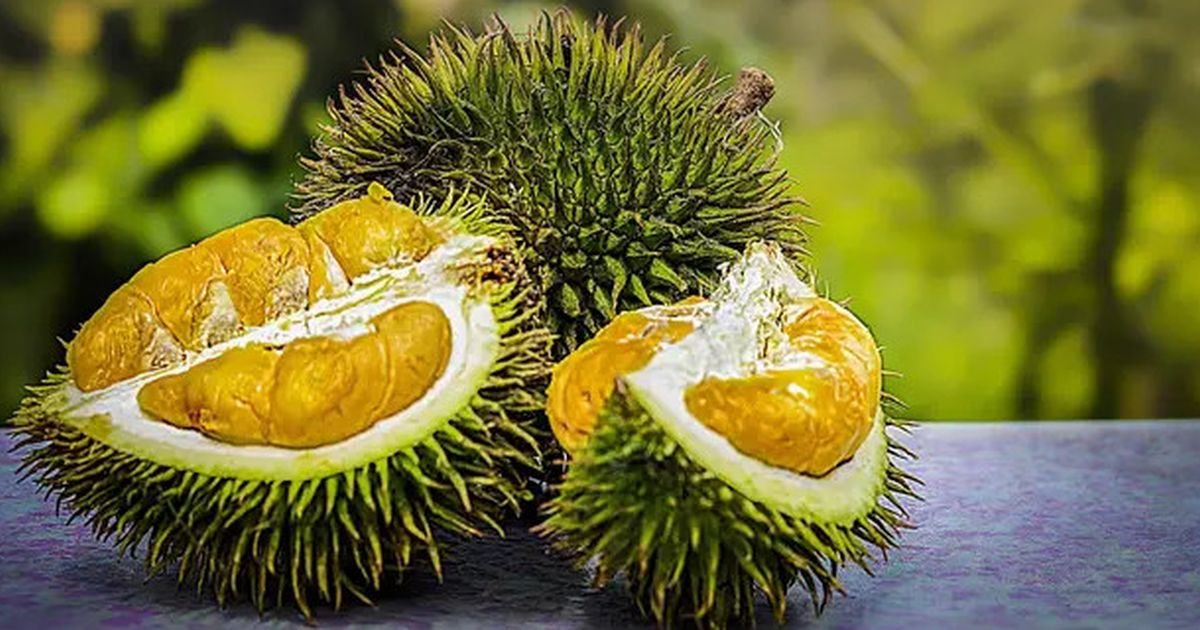 Apakah Durian Bisa Memengaruhi Kadar Kolesterol dalam Tubuh? Intip Penjelasannya