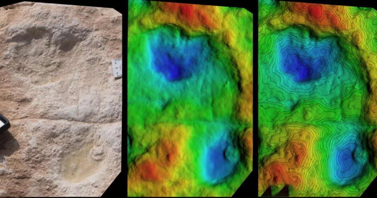 Fosil Jejak Kaki Manusia Purba Berusia 115.000 Tahun di Saudi Dikelilingi Ratusan Jejak Binatang